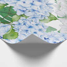 Blue and White Hydrangea