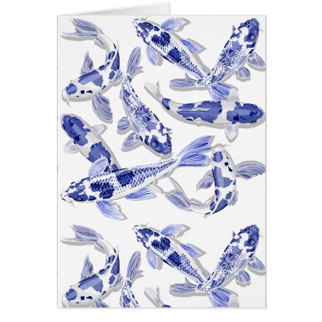 Blue and white Koi (Front)