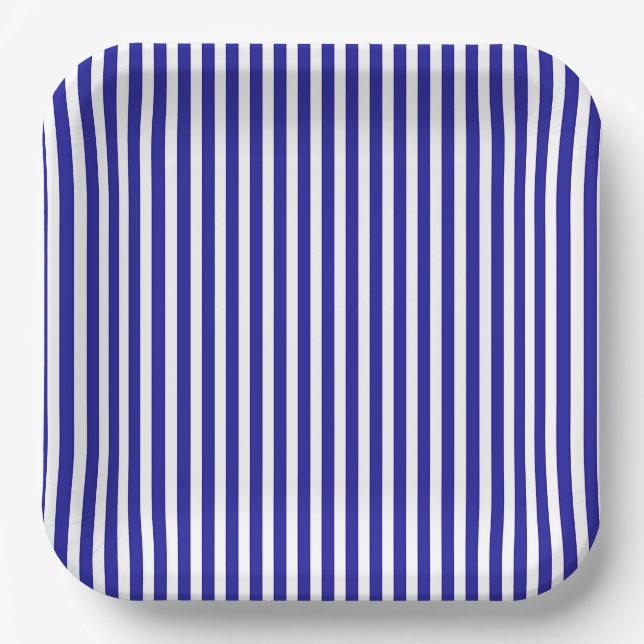 Blue And White  Paper Plate (Front)
