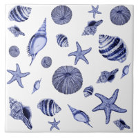 Blue and white seashells