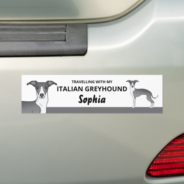 Blue And White - Travelling With My Iggy Dog Bumper Sticker (On Car)