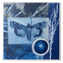 Blue and White Vintage Moth Cyanotype