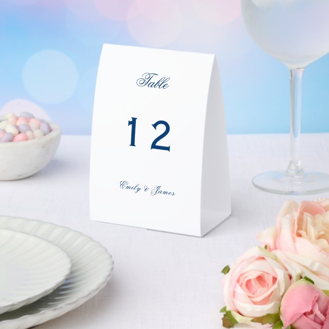 Blue and White Wedding (Insitu(Wedding))
