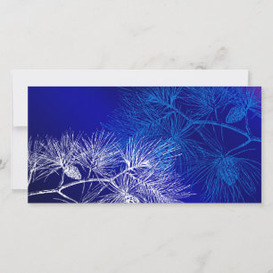 Blue and White Winter Pine Photo Card