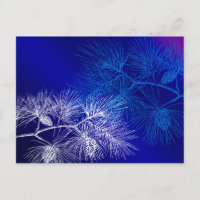 Blue and White Winter Pine