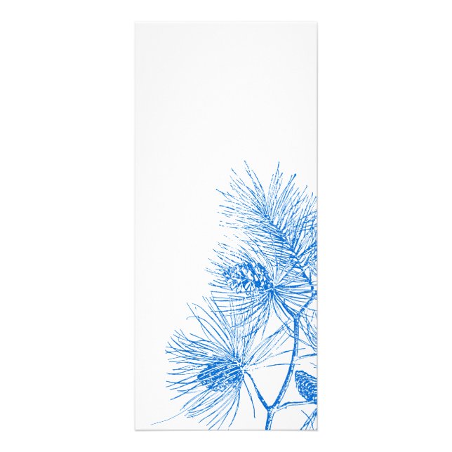 Blue and White Winter Pine Rack Card Template (Front)