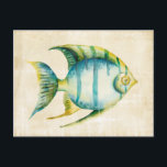 Blue and Yellow Aquarium Fish Postcard<br><div class="desc">Blue and Yellow Aquarium Fish  Artist: Chariklia Zarris</div>