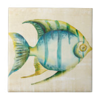 Blue and Yellow Aquarium Fish