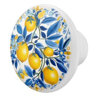 💛💙 Blue and yellow Azulejos with lemons Ceramic Knob