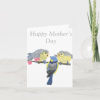 Blue and Yellow Bluetit Birds Editable