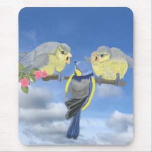 Blue and Yellow Bluetit Birds Mouse Mat