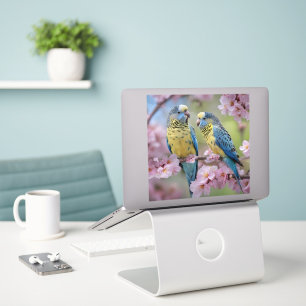 Blue And Yellow Budgies In Blossom Tree,
