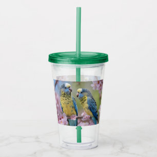Blue And Yellow Budgies In Pink Blossom Tree, Acrylic Tumbler