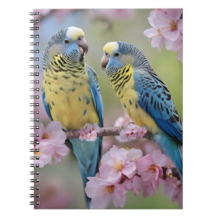 Blue And Yellow Budgies In Pink Blossom Tree, Notebook