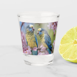 Blue And Yellow Budgies In Pink Blossom Tree, Shot Glass