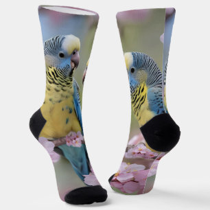 Blue And Yellow Budgies In Pink Blossom Tree, Socks