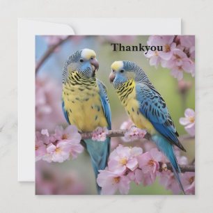 Blue And Yellow Budgies In Pink Blossom Tree, Thank You Card