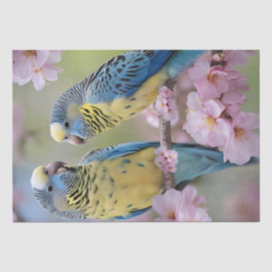 Blue And Yellow Budgies In Pink Blossom Tree, Tissue Paper