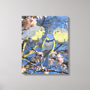 Blue and Yellow Chickadee family Canvas Print