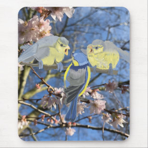 Blue and Yellow Chickadee family Mouse Mat