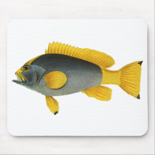 Blue and Yellow Grouper Fish, Vintage Marine Life Mouse Mat