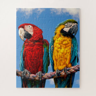 Blue and yellow macaw and a Scarlet macaw Jigsaw Puzzle