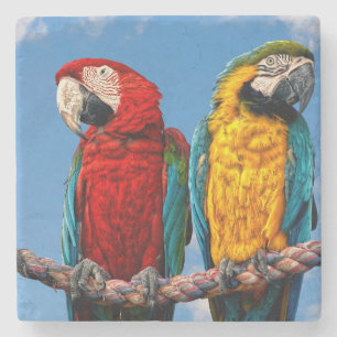Blue and yellow macaw and a Scarlet macaw Stone Coaster