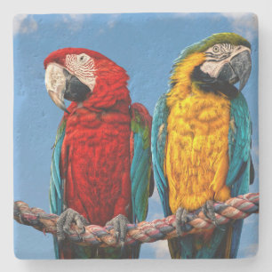 Blue and yellow macaw and a Scarlet macaw Stone Coaster