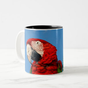 Blue and yellow macaw and a Scarlet macaw Two-Tone Coffee Mug