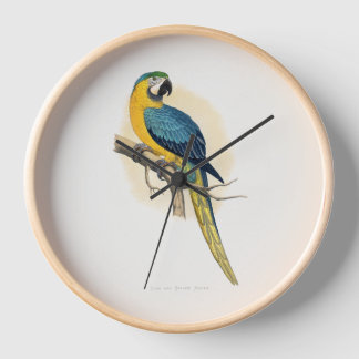 Blue and Yellow Macaw (Ara ararauna) Clock