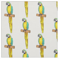 Blue-and-yellow macaw bird cartoon illustration