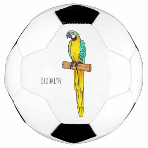 Blue-and-yellow macaw bird cartoon illustration football