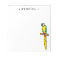 Blue-and-yellow macaw bird cartoon illustration