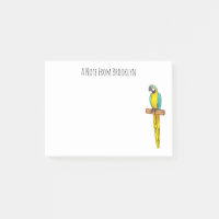Blue-and-yellow macaw bird cartoon illustration