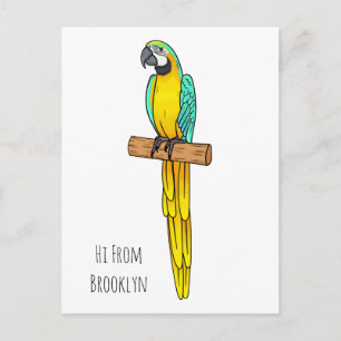 Blue-and-yellow macaw bird cartoon illustration postcard