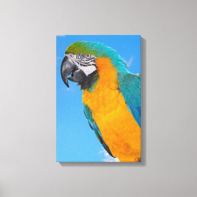 Blue and yellow macaw canvas print (Front)
