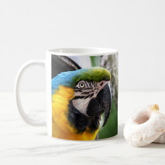 Blue and yellow macaw coffee mug