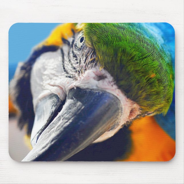 Blue and Yellow Macaw Face Close Up Mousepad (Front)