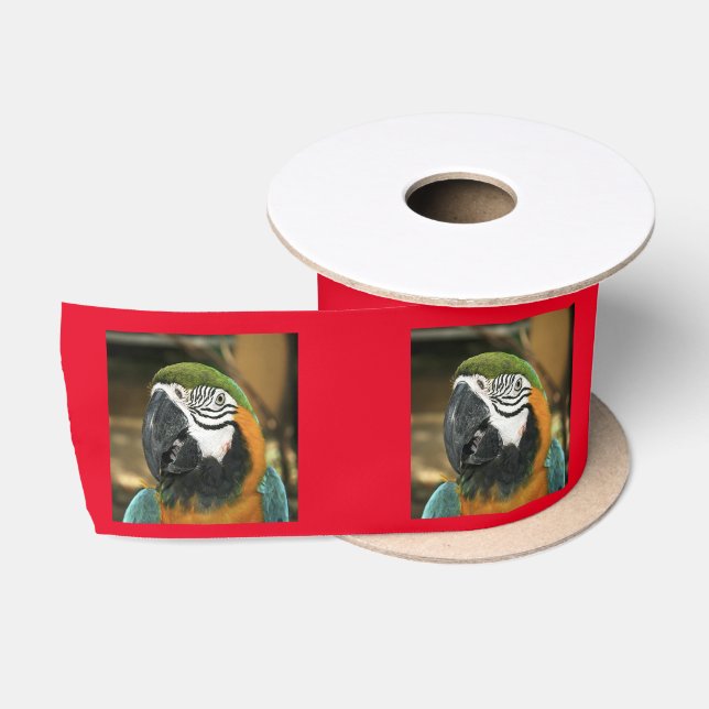 Blue and Yellow Macaw from Amazon Satin Ribbon (Spool)