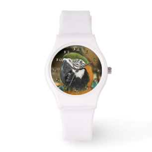Blue and Yellow Macaw from Amazon Watch
