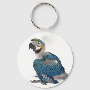 Blue and yellow Macaw Key Ring