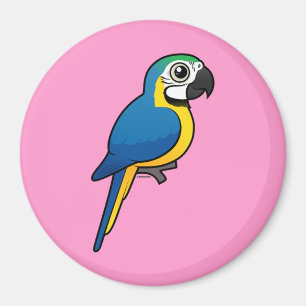 Blue-and-yellow Macaw Magnet