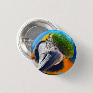 Blue and Yellow Macaw, Parrot Face 3 Cm Round Badge