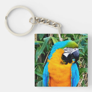 Blue and Yellow Macaw Parrot Key Ring