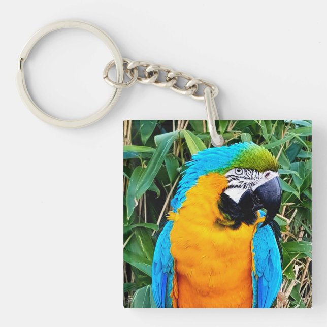 Blue and Yellow Macaw Parrot Key Ring (Front)