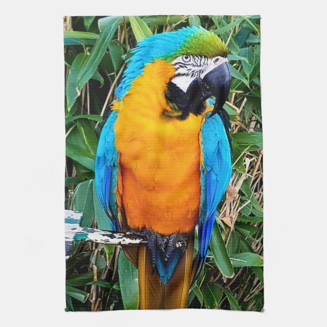 Blue and Yellow Macaw Parrot Tea Towel (Vertical)