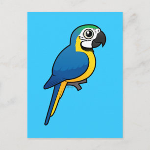 Blue-and-yellow Macaw Postcard