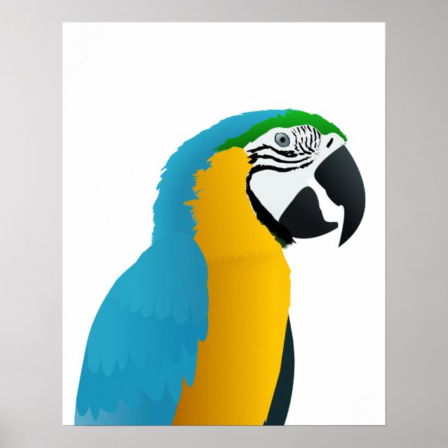 Blue and Yellow Macaw Poster (Front)