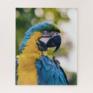 Blue-and-Yellow Macaw Tropical Parrot Jigsaw Puzzle