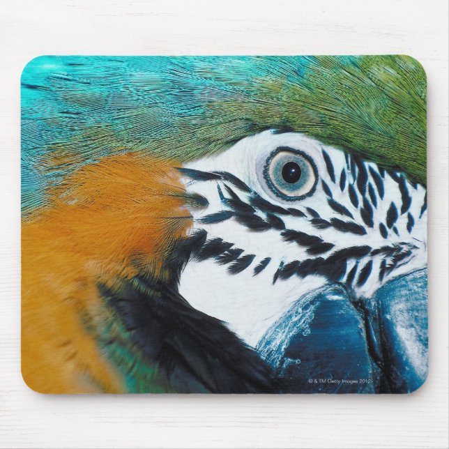 Blue-and-yellow MacawÊ Mouse Mat (Front)